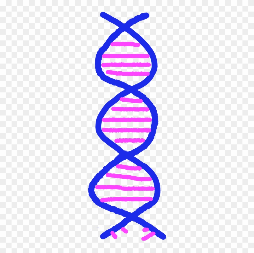 Cartoon Of Dna Helix - Cancer Phobia Clipart