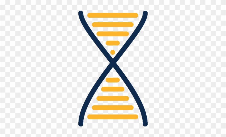 Dna Clipart