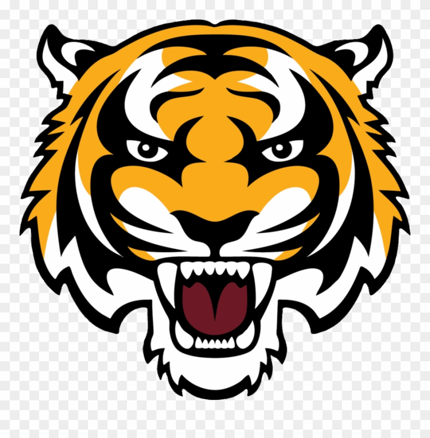 Clipart Resolution 988*963 - Harrisburg High School Tigers - Png Download