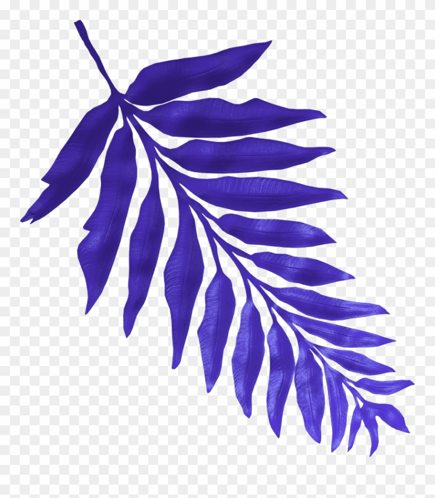 A Survival Kit Is A Package Of Basic Tools And Supplies - Illustration Clipart