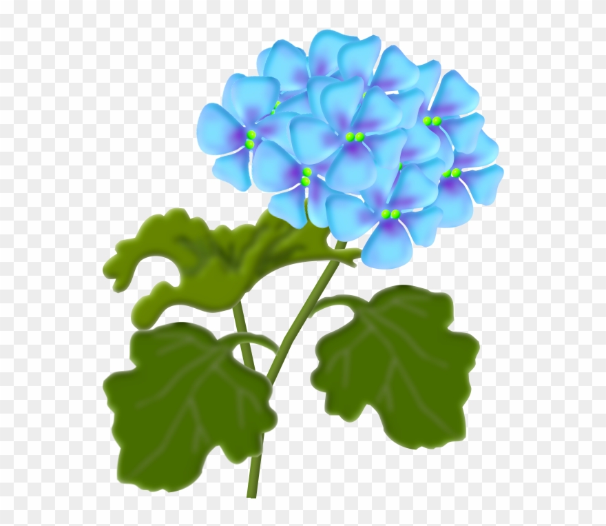 Flôres & Jardim E Etc - Clip Art - Png Download