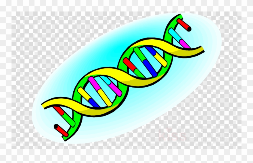 Life Science Clipart Biology Clipart Clip Art - Blind Atheist: The Unscientific Root Of Atheism - Png Download