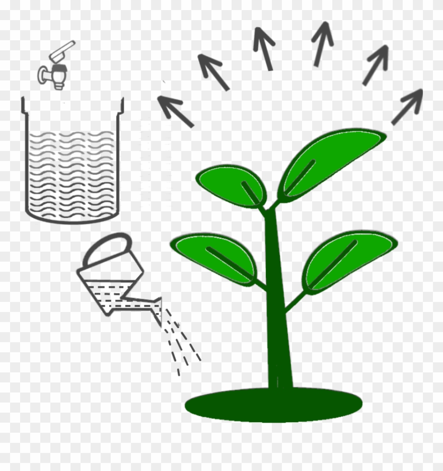 6 Dilute Smartbrew And Water Plants Clipart