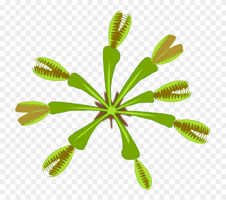 Free Plant-04 - Pdf Clipart