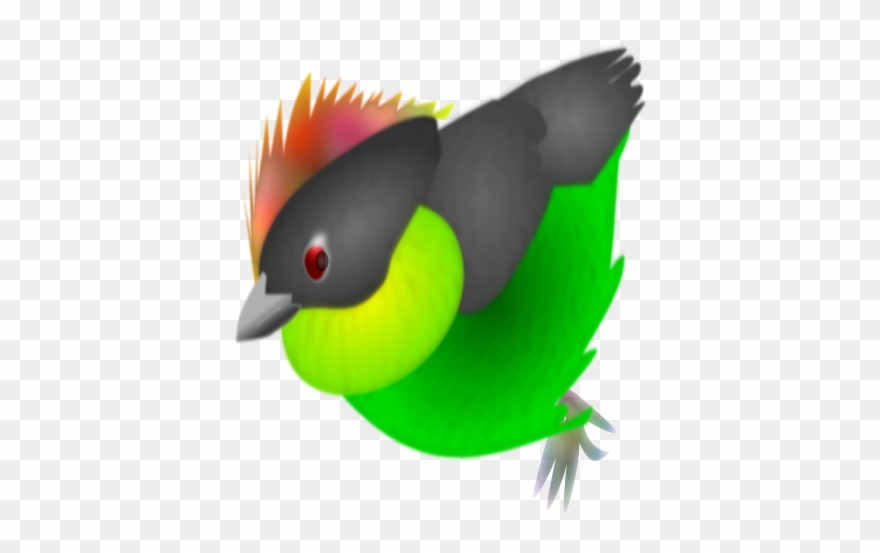 Finch Png Images 600 X Clipart