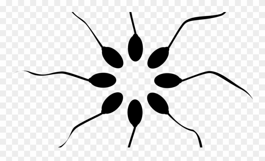 Donor Sperm - Loading Image Transparent Background Clipart