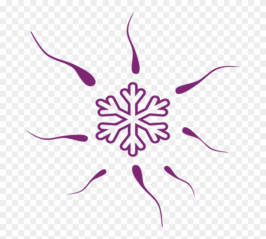 Egg Donation Donor Sperm - White Snowflake Clipart Png Transparent Png