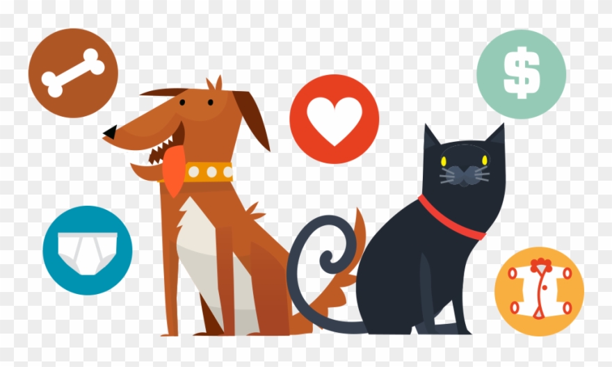 Veterinarian Jeffrey Booth '92 Discusses The Most Pressing - Veterinary Physician Clipart