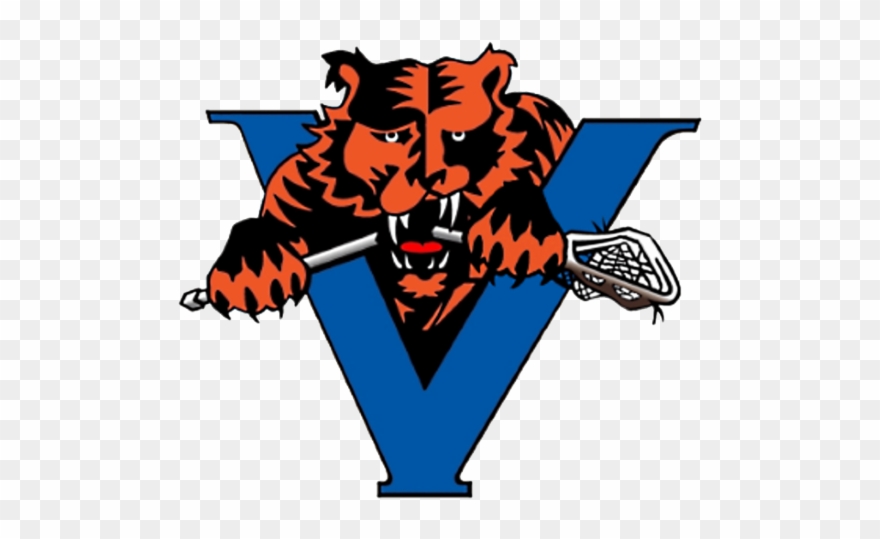 Vernon Tigers Junior Lacrosse Club Facebook Page - Vernon Tigers Clipart