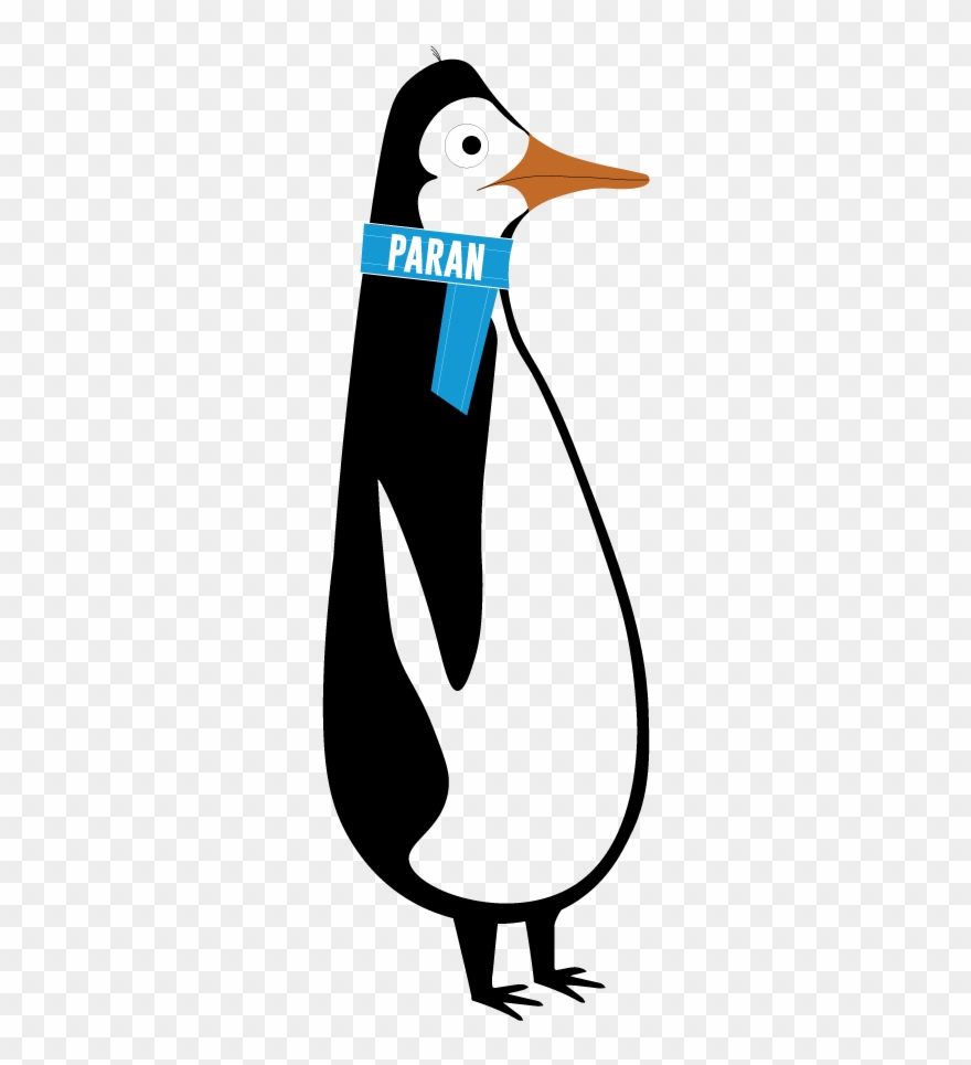 2019 Paran Plunge - Penguin Clipart