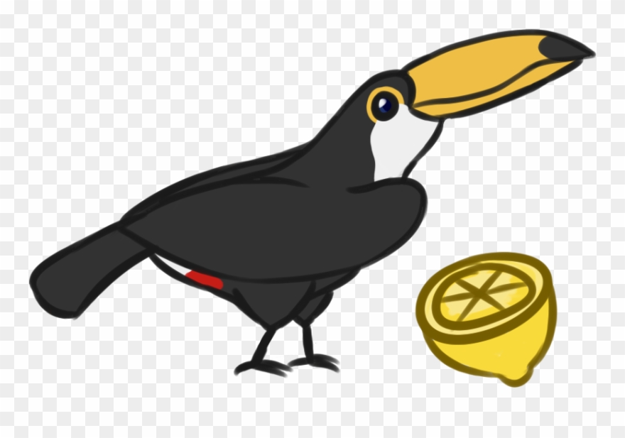 Jungle Clipart Toucan - Toucan - Png Download