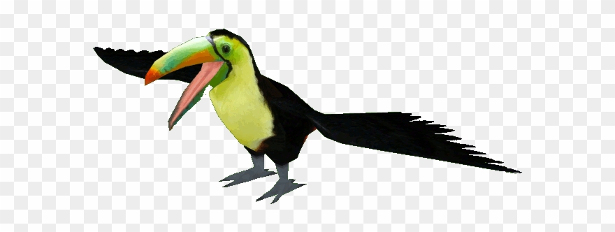 Keel Billed Dutchdesigns Zt Download Library Wiki - Keel Billed Toucan Png Clipart