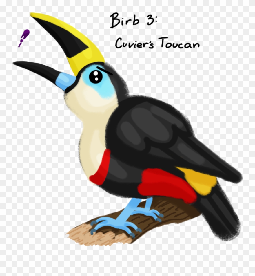 Collection Of Free Birds Download On Ubisafe - Toucan Clipart