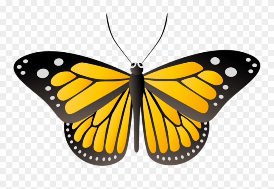 Butterfly Yellow Png - Hudson Valley Ny Butterfly Clipart