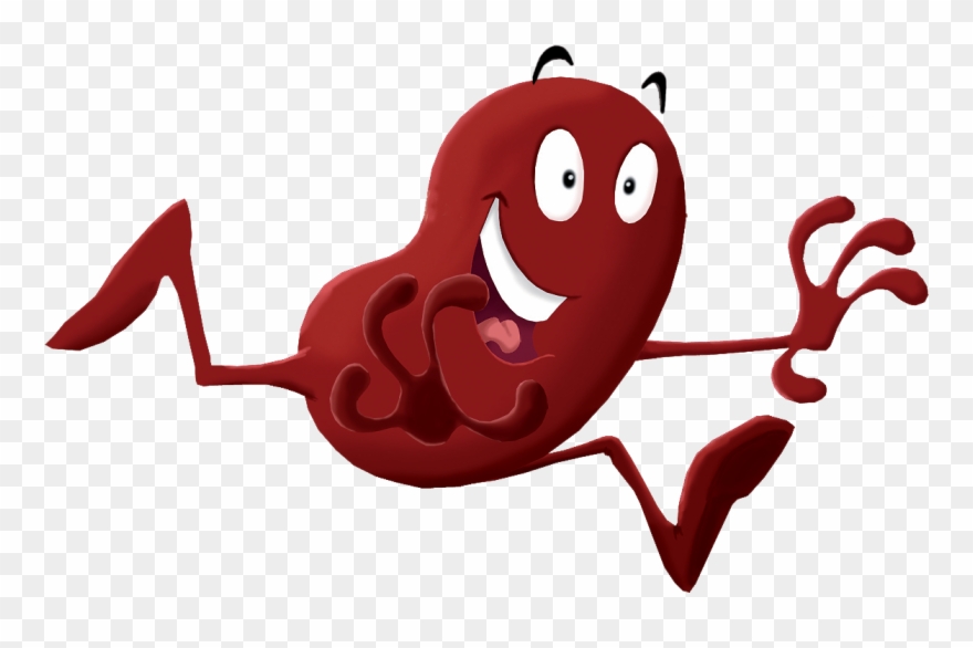 Clip Royalty Free Library Irish Association Ireland - Happy Kidney Png Transparent Png