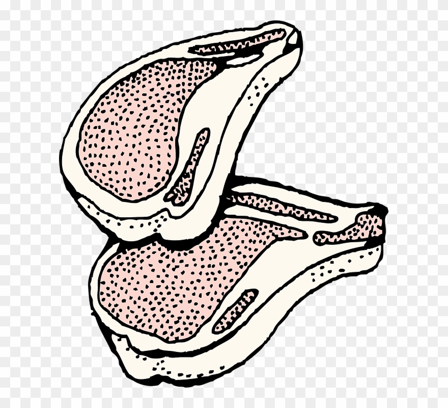 Chop Cliparts 7, Buy Clip Art - Chuleta De Cerdo Dibujo - Png Download