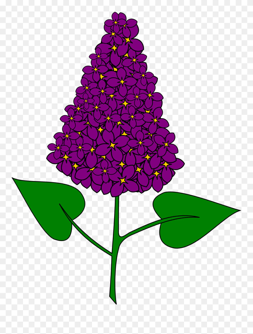 File - Lilas - Svg - Wikimedia Commons Clipart