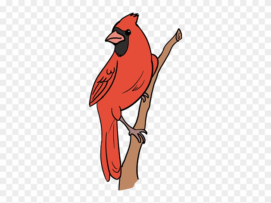 How To Draw Cardinal Bird - Cartoon Cardinal Red Bird Clipart