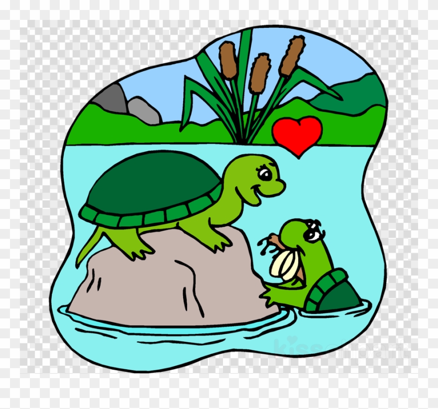 Download Turtles In Love Coloring Pages Clipart Turtle - Turtles In Love Coloring Pages - Png Download
