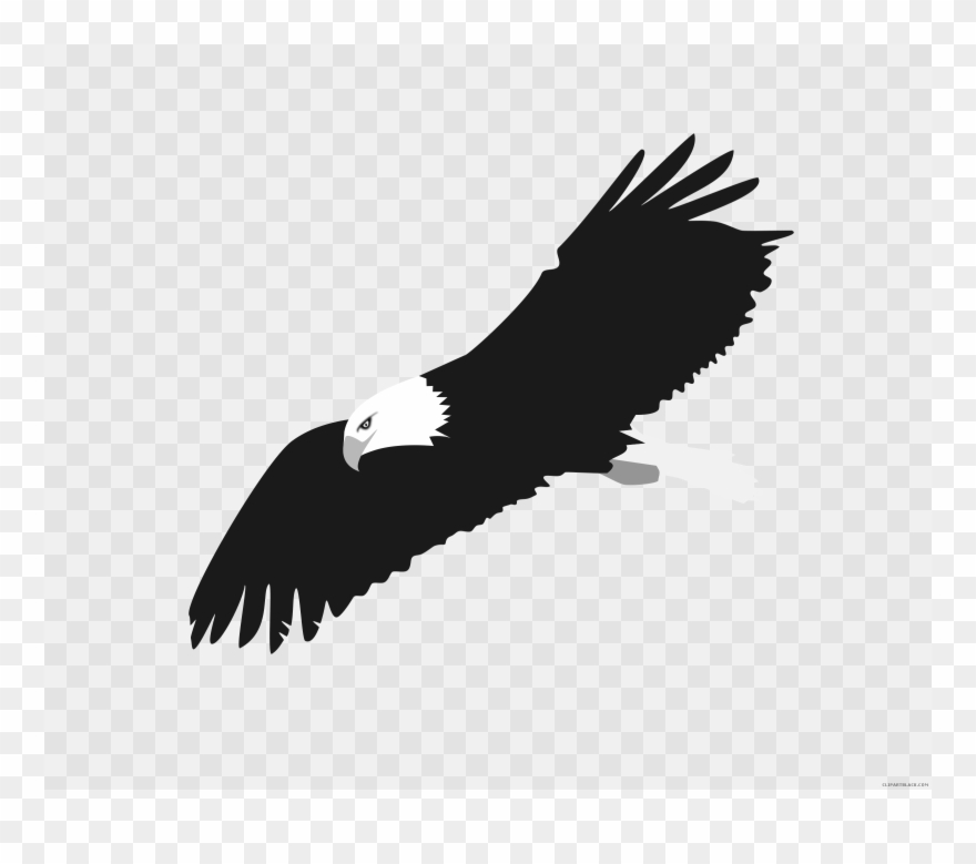 Clipart Gallery Monkey Eating Eagle - Bald Eagle Clipart Png Transparent Png