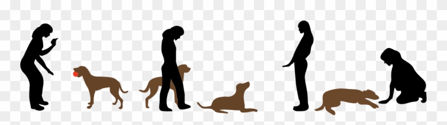 Cartoon Dog Training Clipart