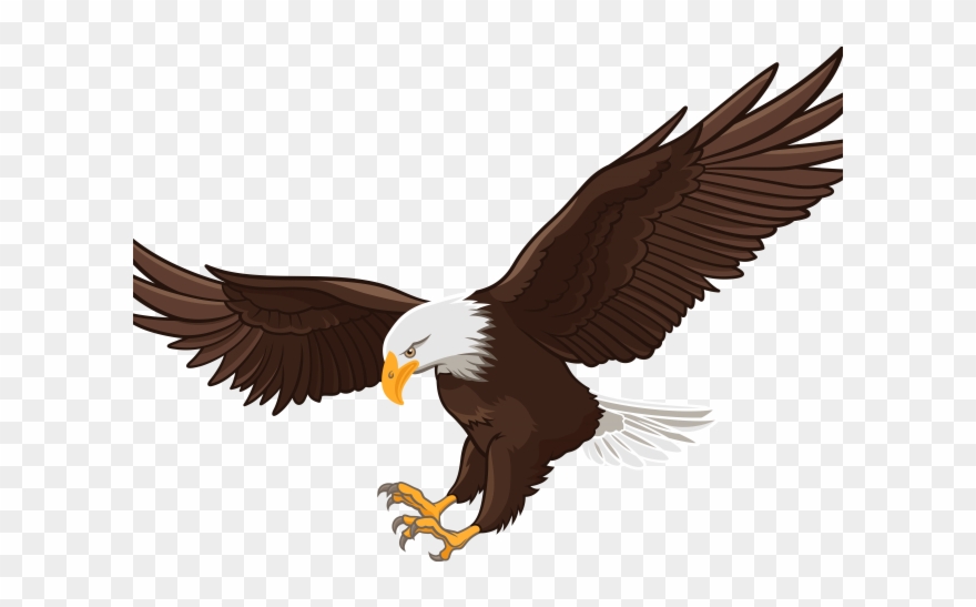 Flight Clipart Clip Art - Clip Art Bald Eagle Png Transparent Png