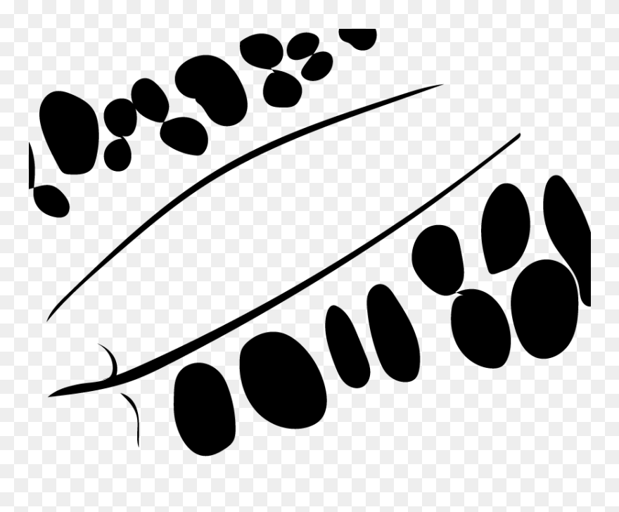 Eucalyptus Pattern - Circle Clipart