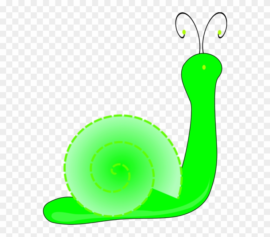 Snail Clip Art - Png Download