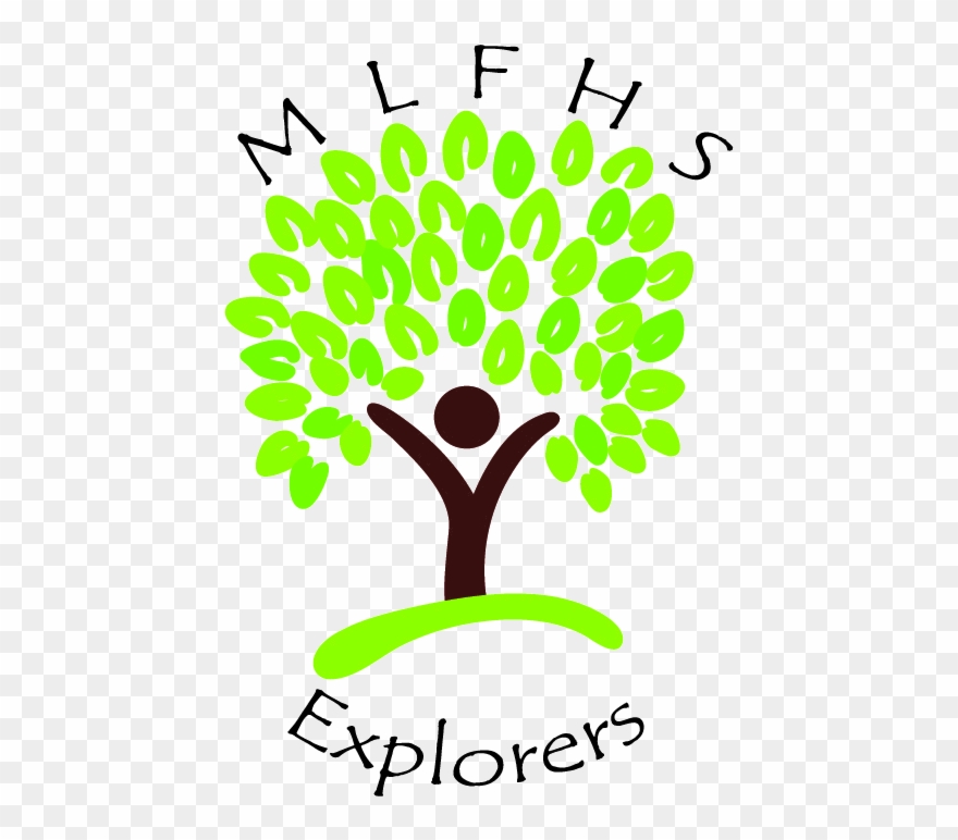 Manchester & Lancashire Family History Society - Lime Tree Clipart