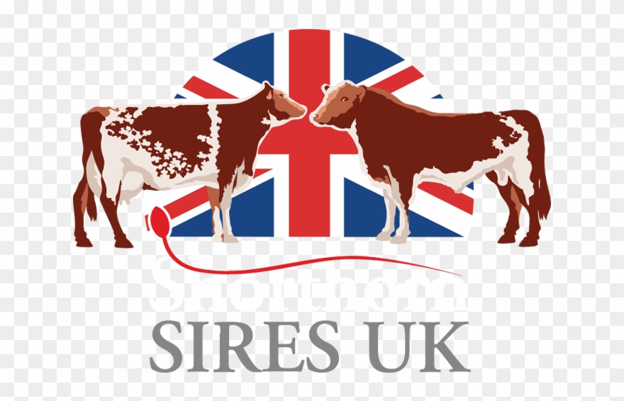 Dairy Facebook - University Of Kentucky College Of Agriculture, Food, Clipart