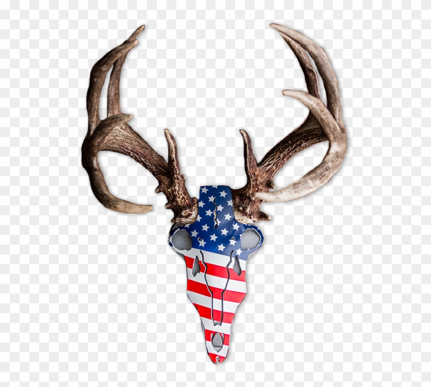 Abam5 America Buck - Reindeer Clipart