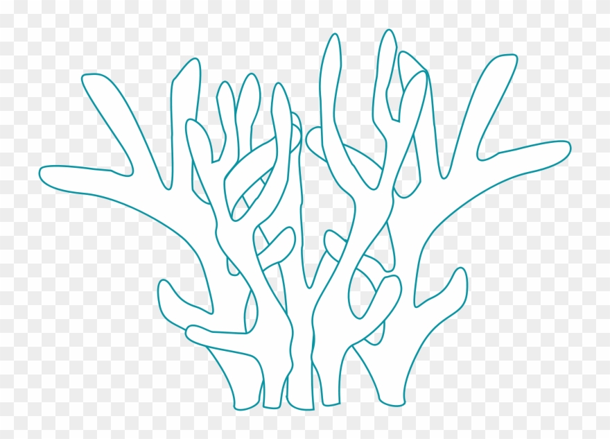 รูป วาด ปะการัง Clipart