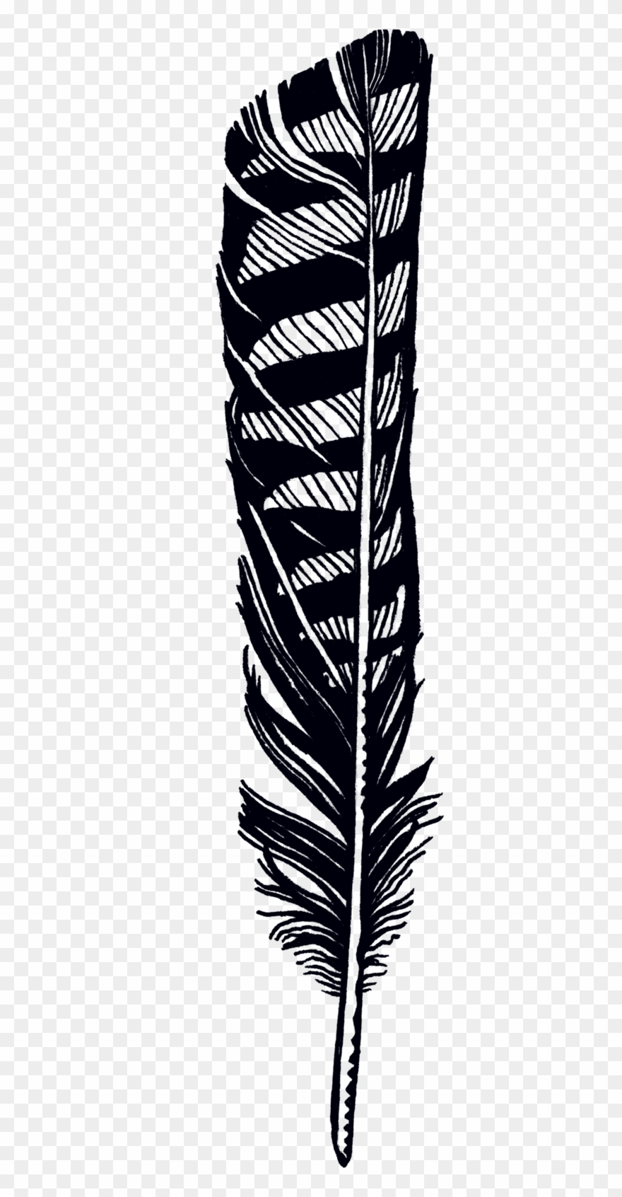 Feather Jen Mussari Transparent Feathers Hawk Banner - Hawk Feather Tattoo Clipart