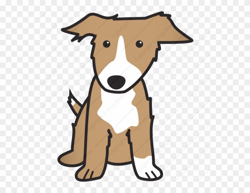 Border Collie Dog Cartoons Online Download - Collie Cartoon Clipart