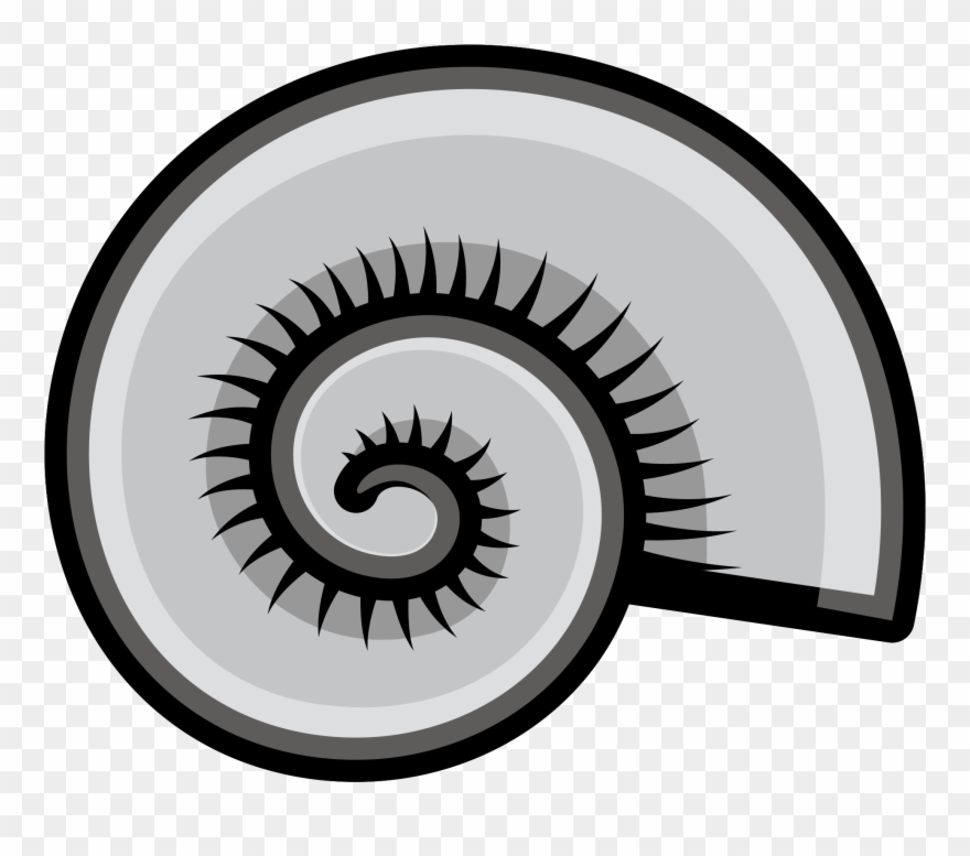 Marine Biology - Circular Shell Clipart