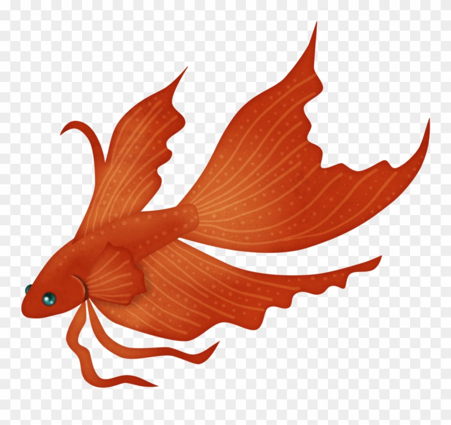 Album - Red Goldfish Cartoon Png Clipart