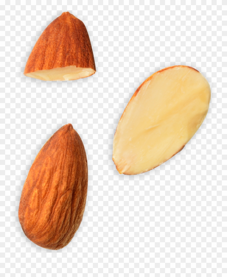 Also, May Contain Other Nuts, Peanuts And Milk Clipart