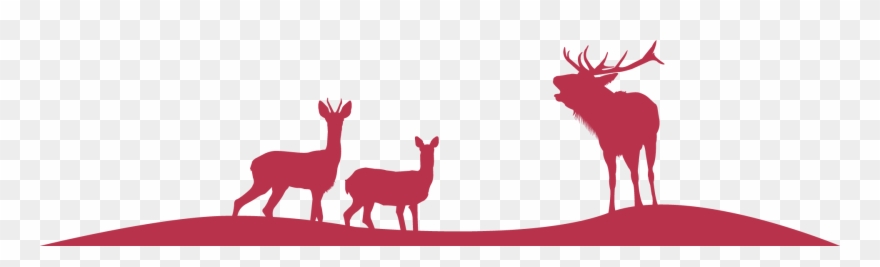 Home - Roe Deer Clipart