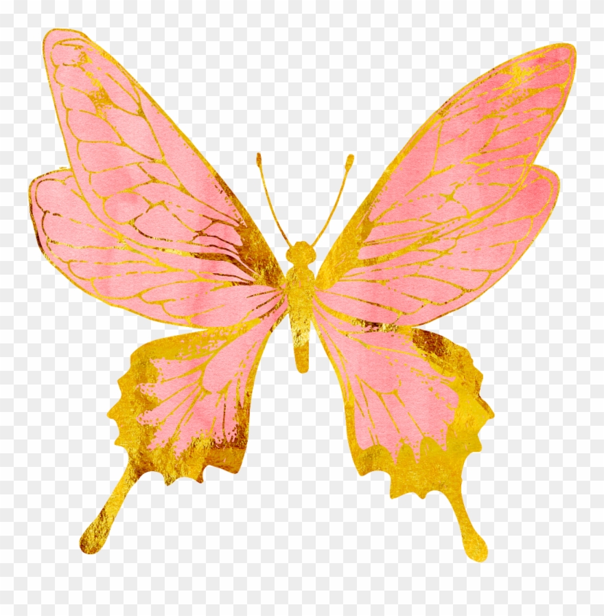 Connection - Freedom - Authenticity - - Pink And Gold Butterflies Clipart