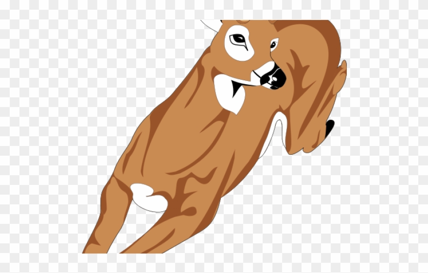 Fawn Clipart Clip Art - Deer Clip Art - Png Download