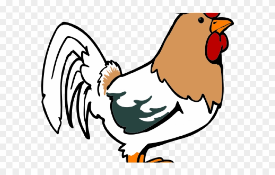 Rooster Clipart Lame - Rooster Cartoon Png Transparent Png