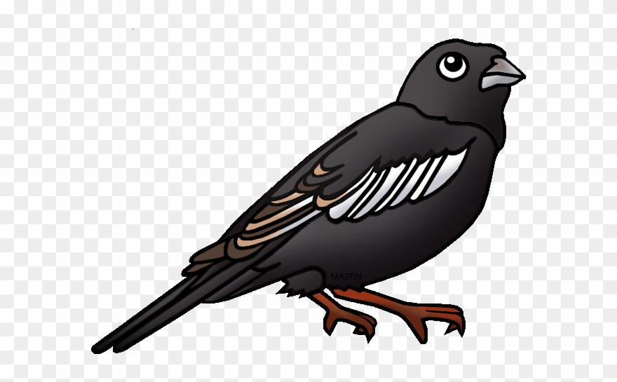 Free Animals Clip Art By Phillip Martin, Lark Bunting - Colorado State Bird Clipart - Png Download