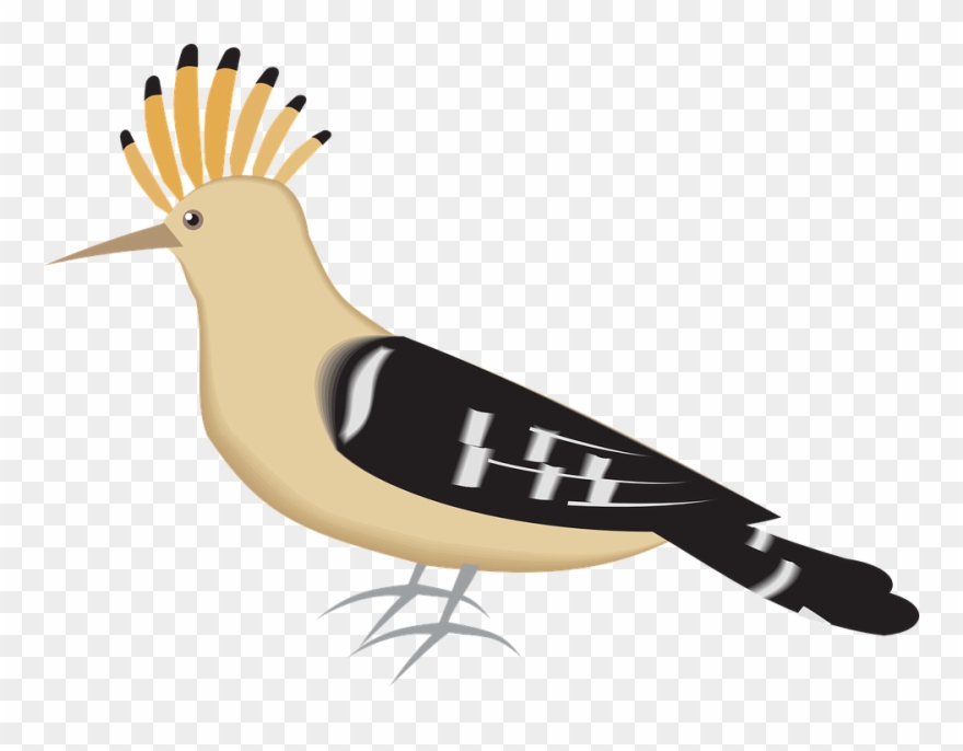 Sparrow Clipart 15, Buy Clip Art - Hoopoe Clipart - Png Download