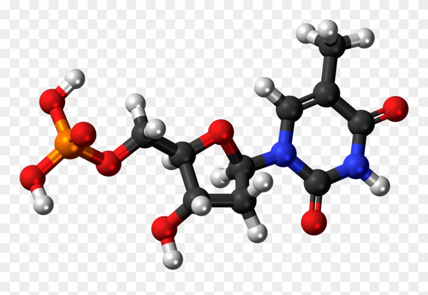 3d Dna Png Picture Freeuse Download - 3d Dna Png Clipart