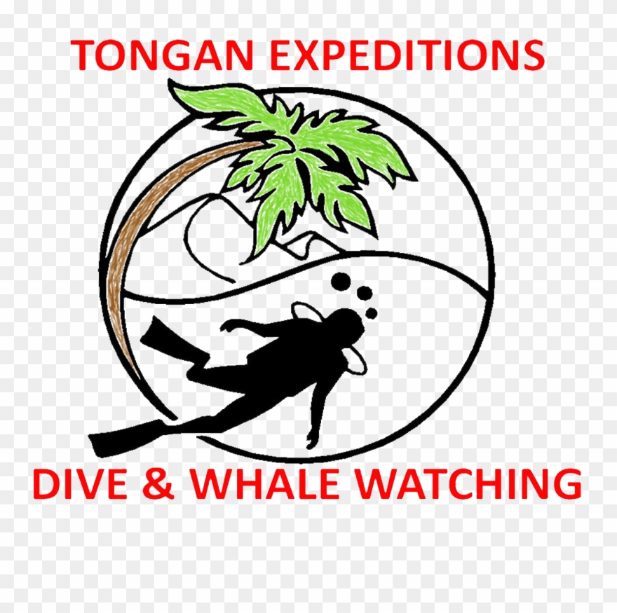 Diving Clipart Transparent - Scuba Diving Line Art - Png Download