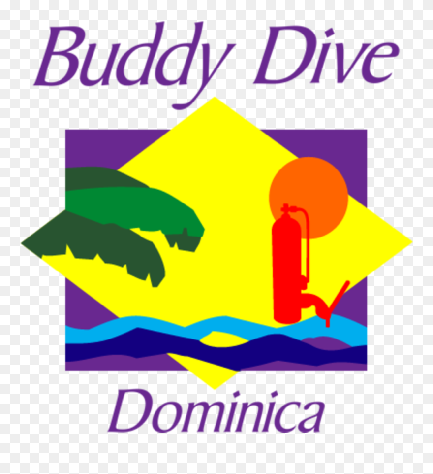 Exclusive Deals & Offers - Buddy Dive Resort Bonaire Clipart