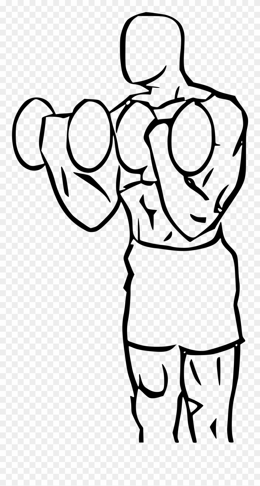 Biceps Drawing Cartoon Clip Art Royalty Free Download - Bicep Curl Cartoon - Png Download