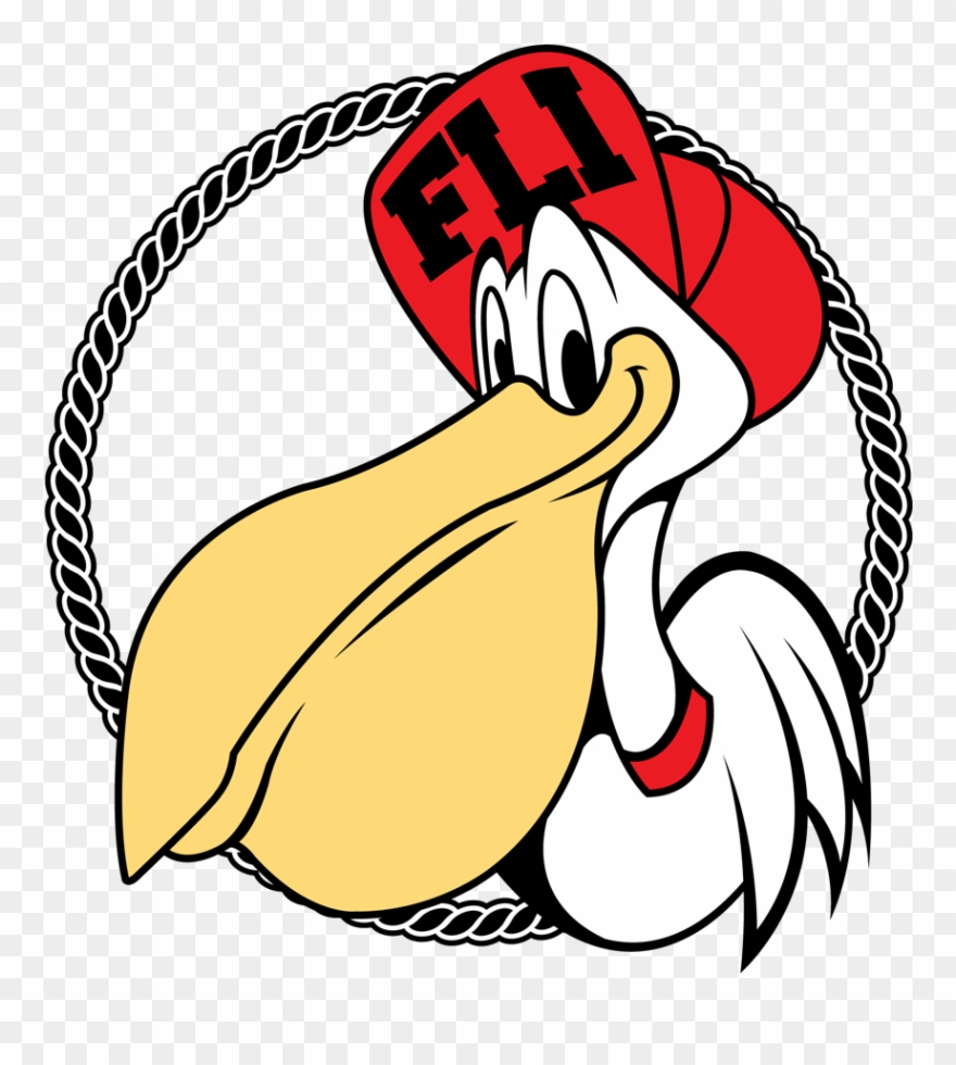 For Those Of You Who Dont Know Fli Pelican Is A Fairly - Fli Pelican Clipart