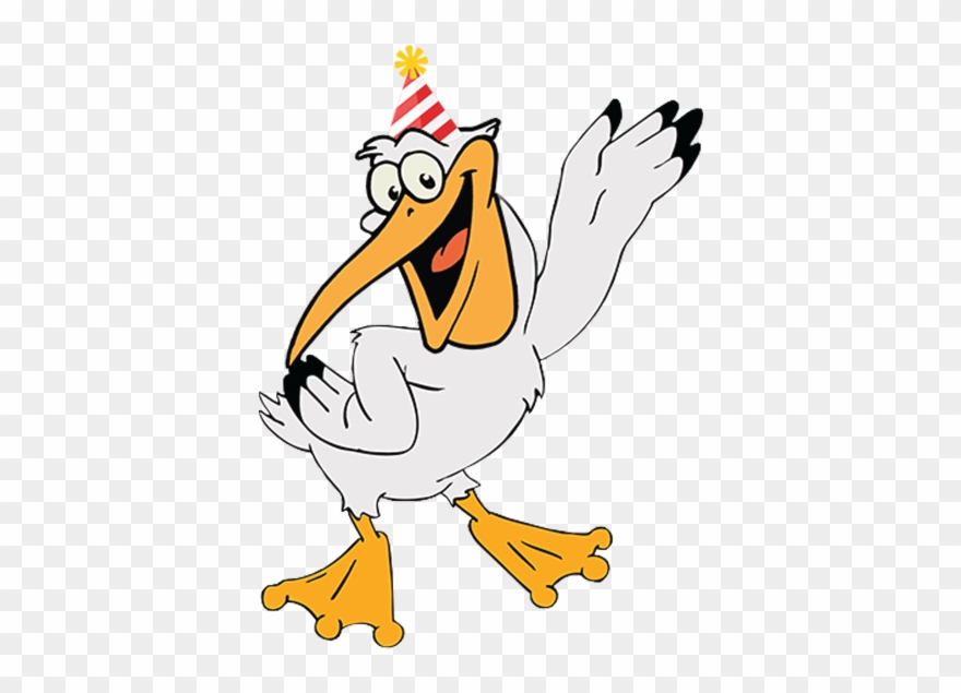 Pelican With Hat - Pelikan Tecknad Clipart