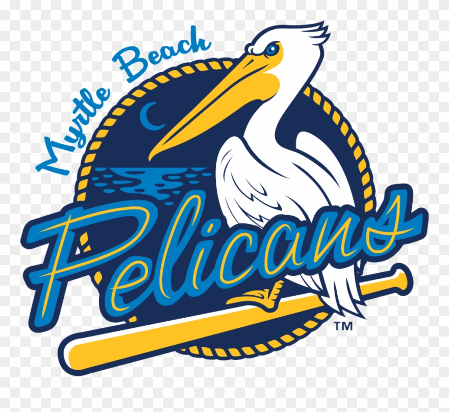 Pelicans Baseball In Myrtle Beach Sc Clipart
